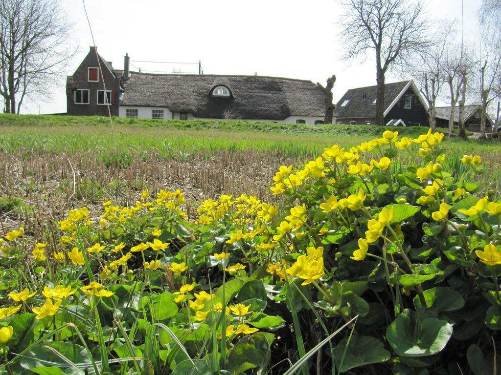 Boerderij Honswijck Guest House Weesp Exterior foto